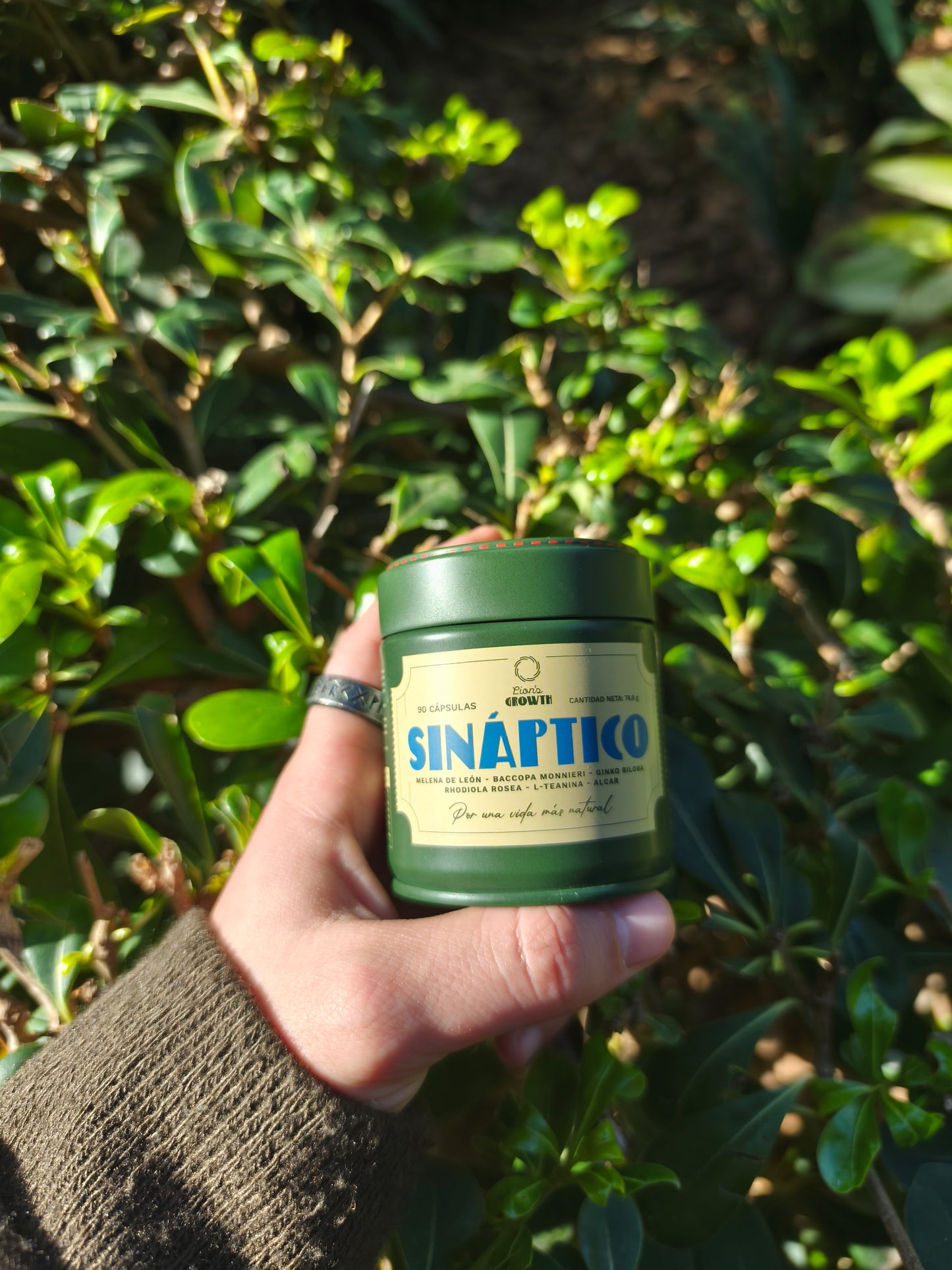 Sináptico